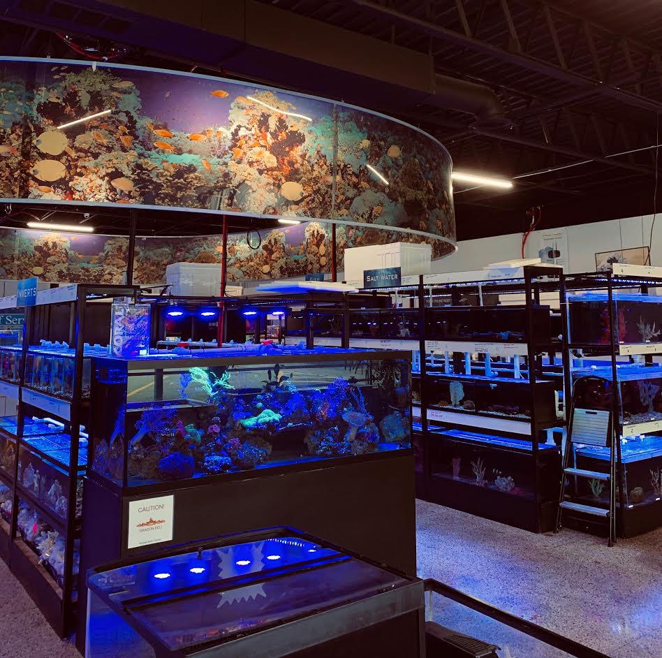 Superfish Aquariums Collection - Aquarium Store in Henlow